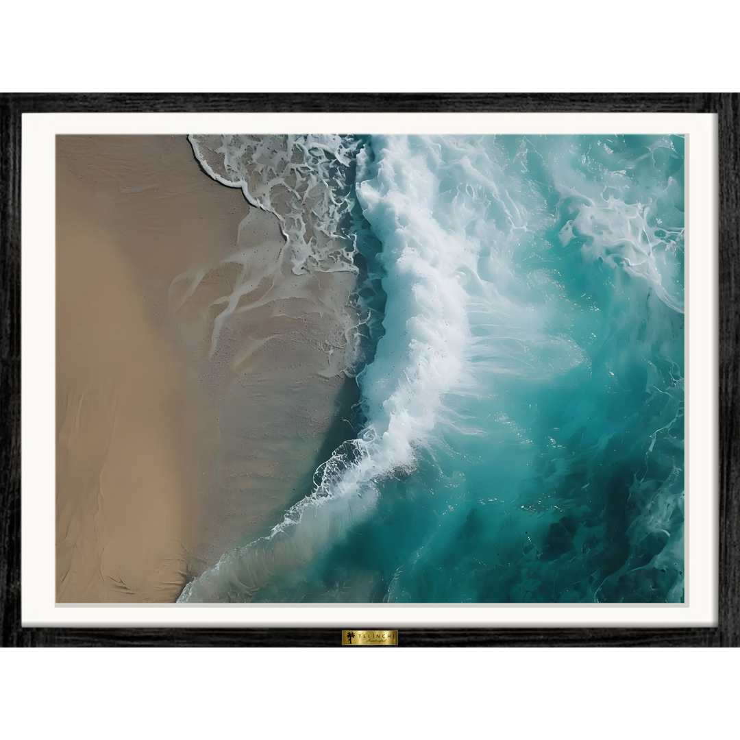 Shoreline Harmony