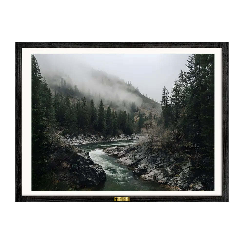 Misty Woods