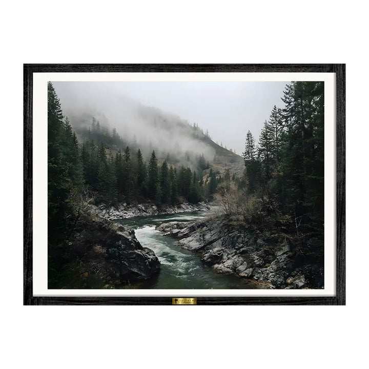 Misty Woods