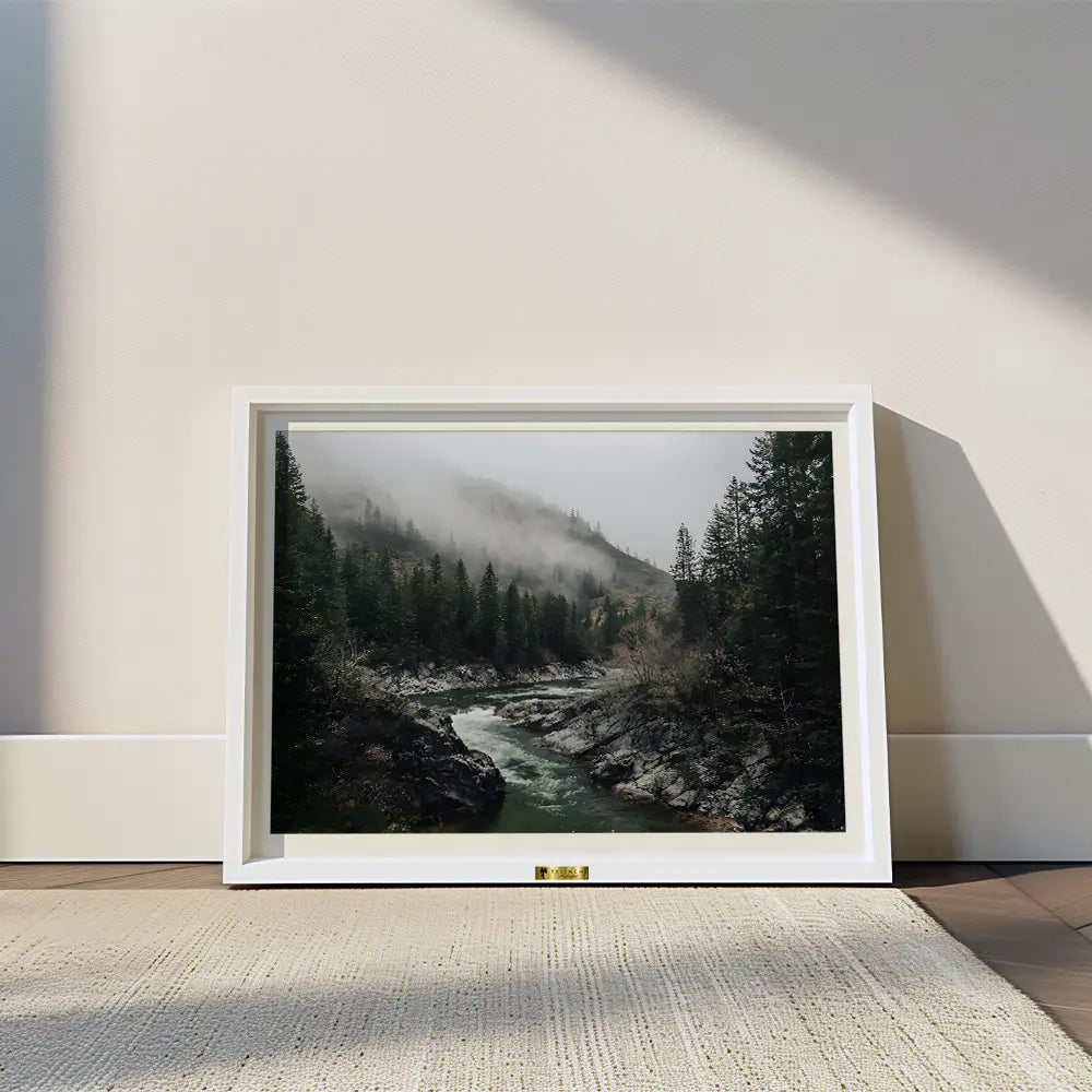 Misty Woods