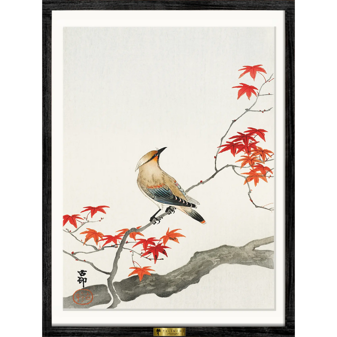 Autumn Serenade