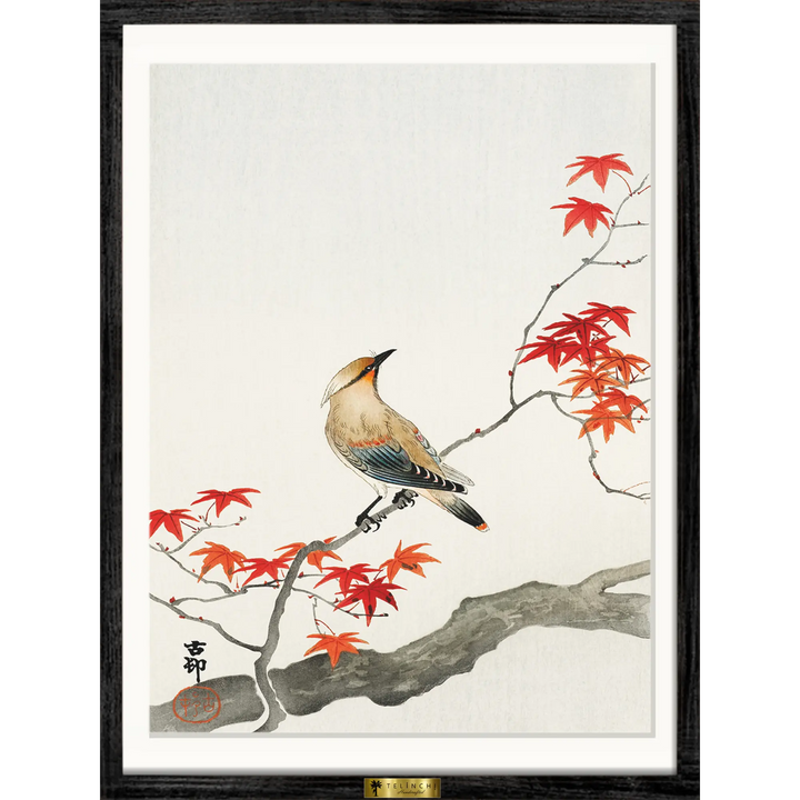 Autumn Serenade