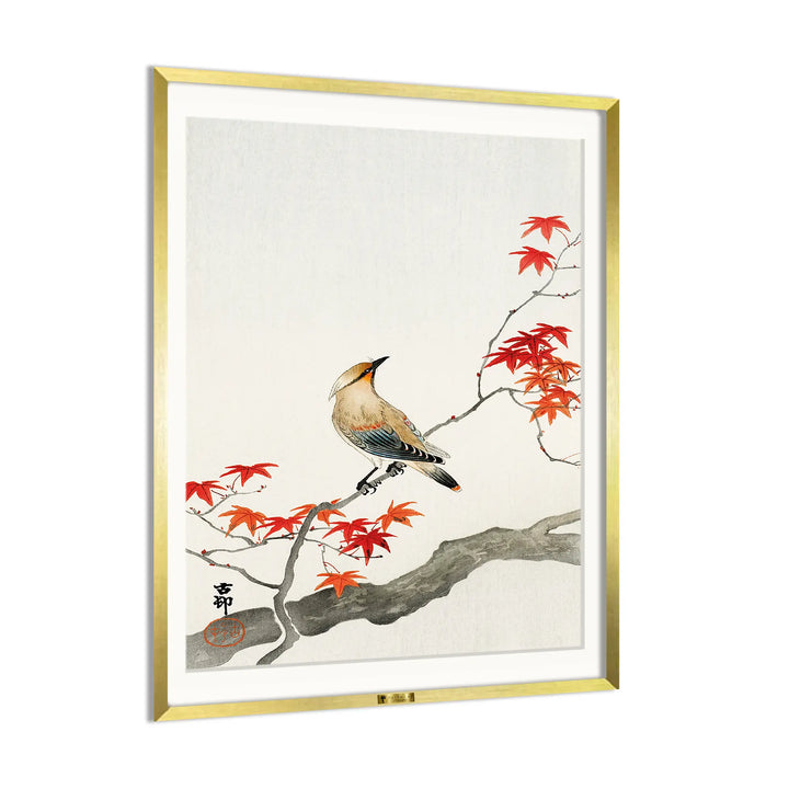 Autumn Serenade