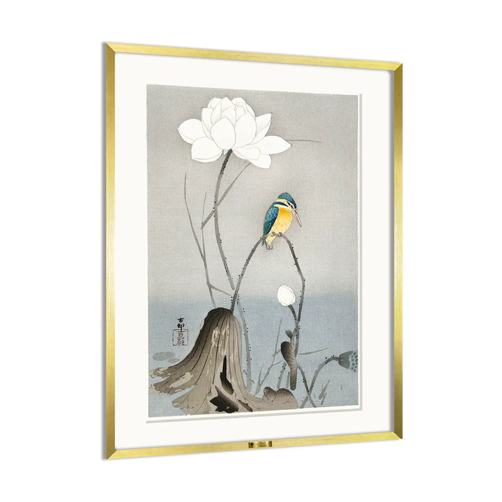 Kingfisher & Lotus