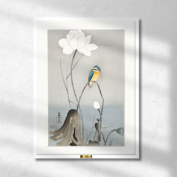 Kingfisher & Lotus