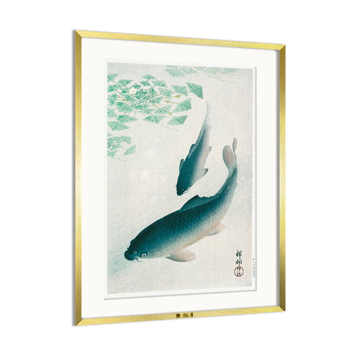 Swimming Carps