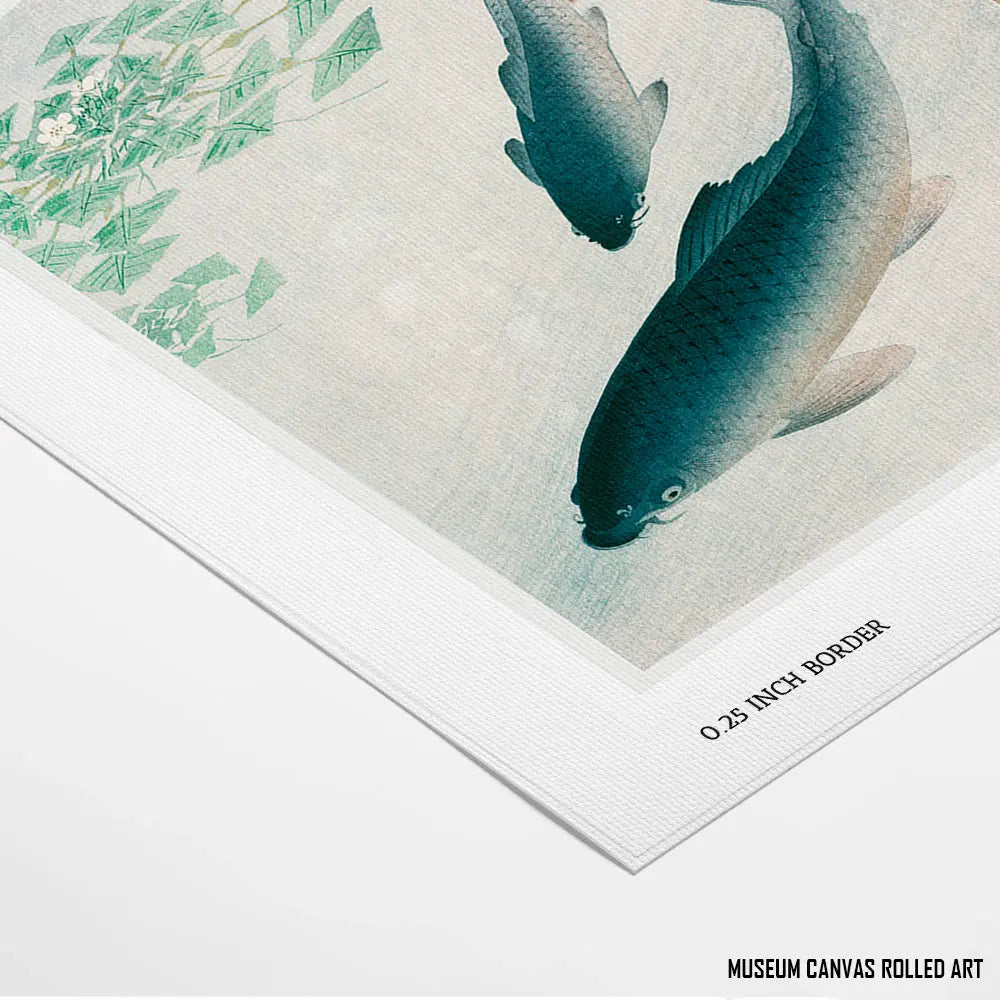 Swimming Carps