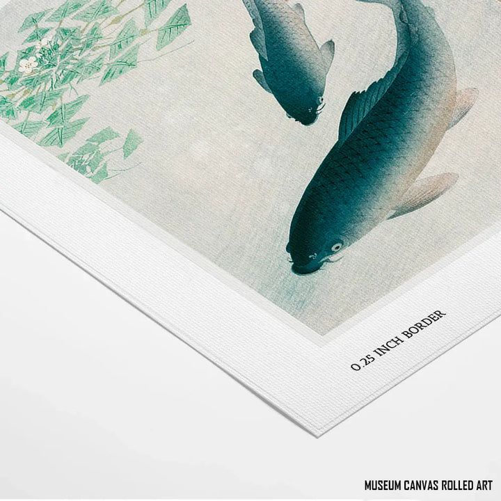 Swimming Carps