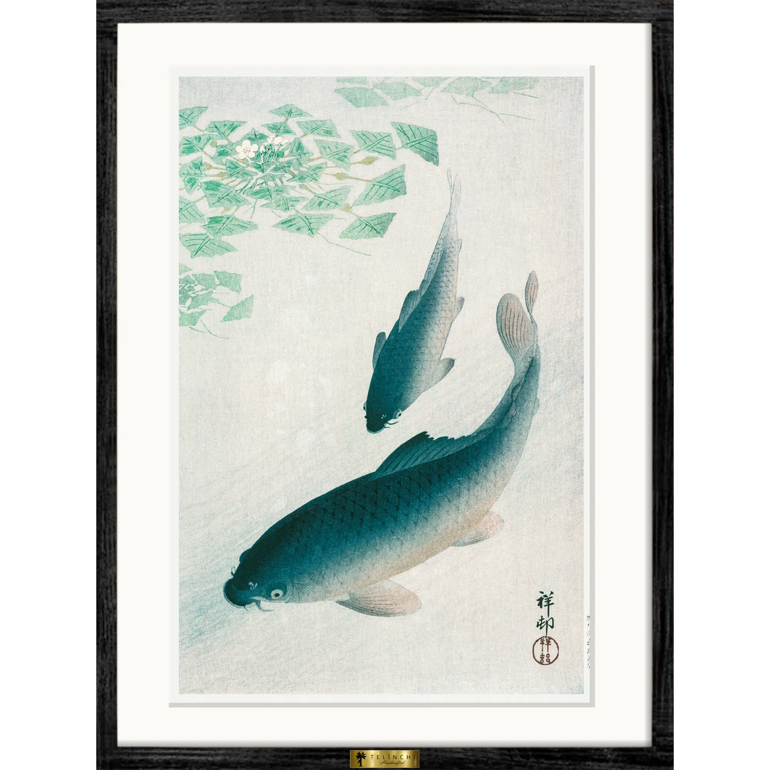 Swimming Carps