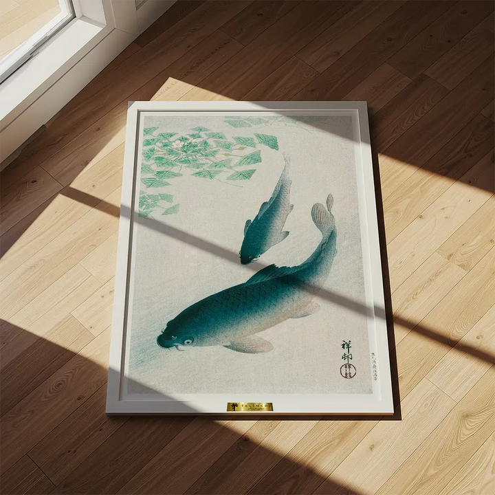 Swimming Carps