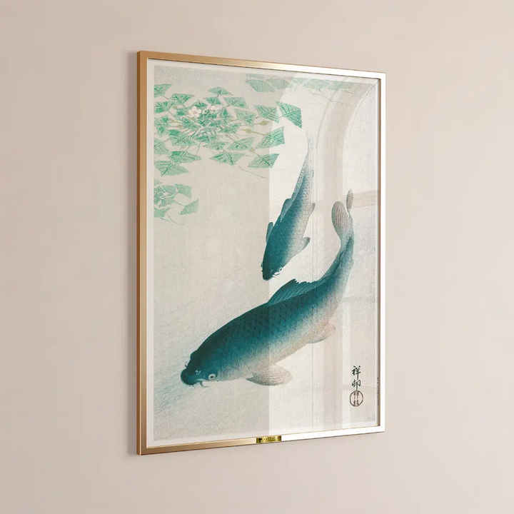 Swimming Carps