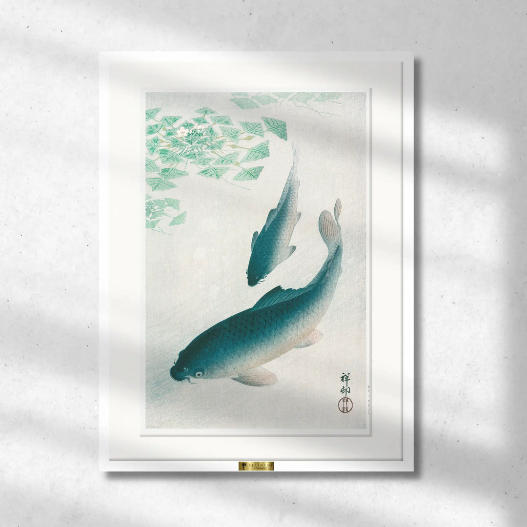Swimming Carps