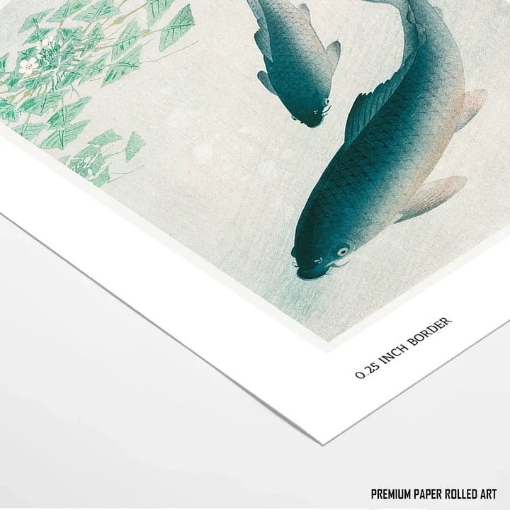 Swimming Carps