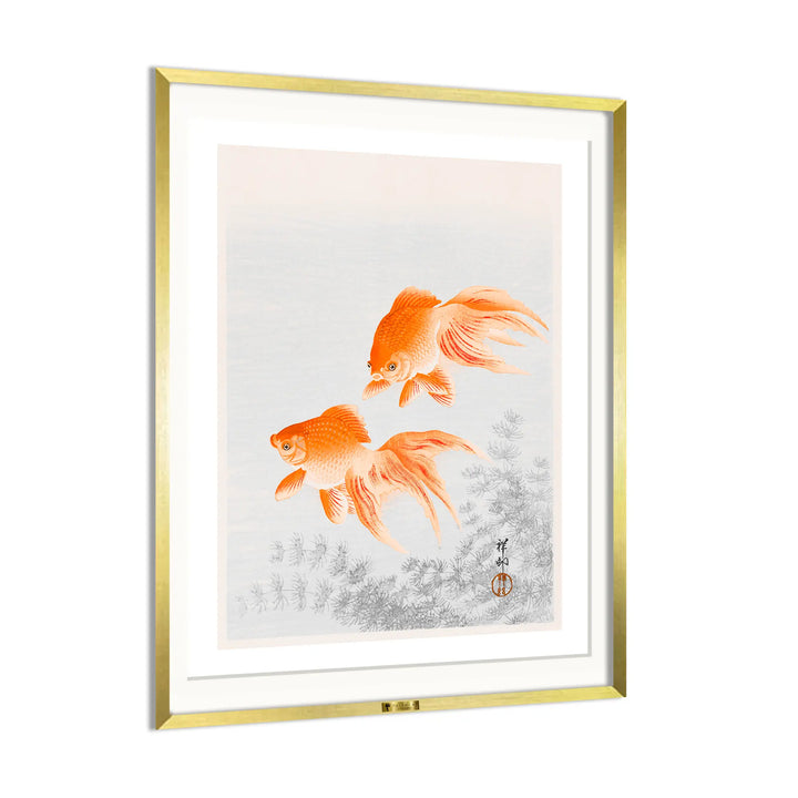 Goldfish Duo