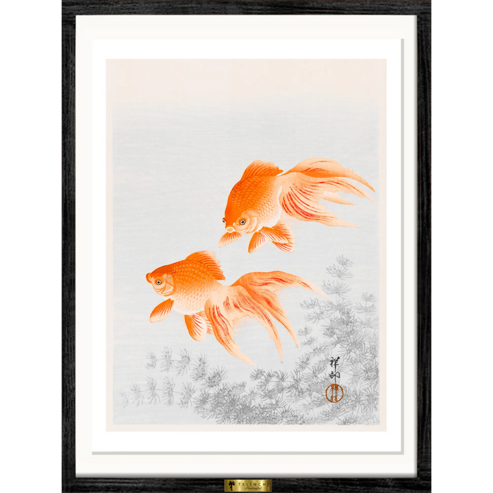 Goldfish Duo