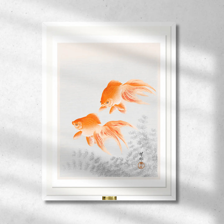Goldfish Duo
