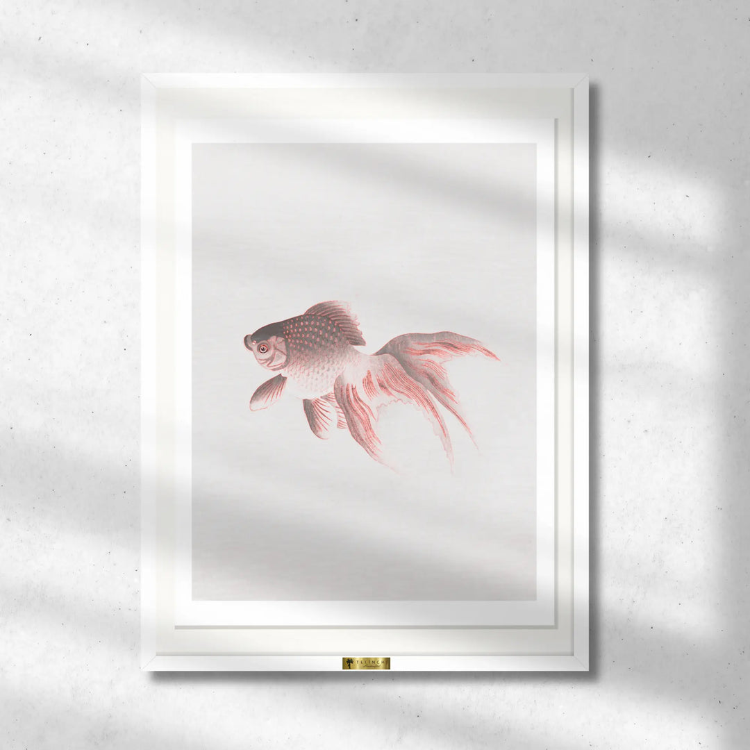 Solo Swimmer