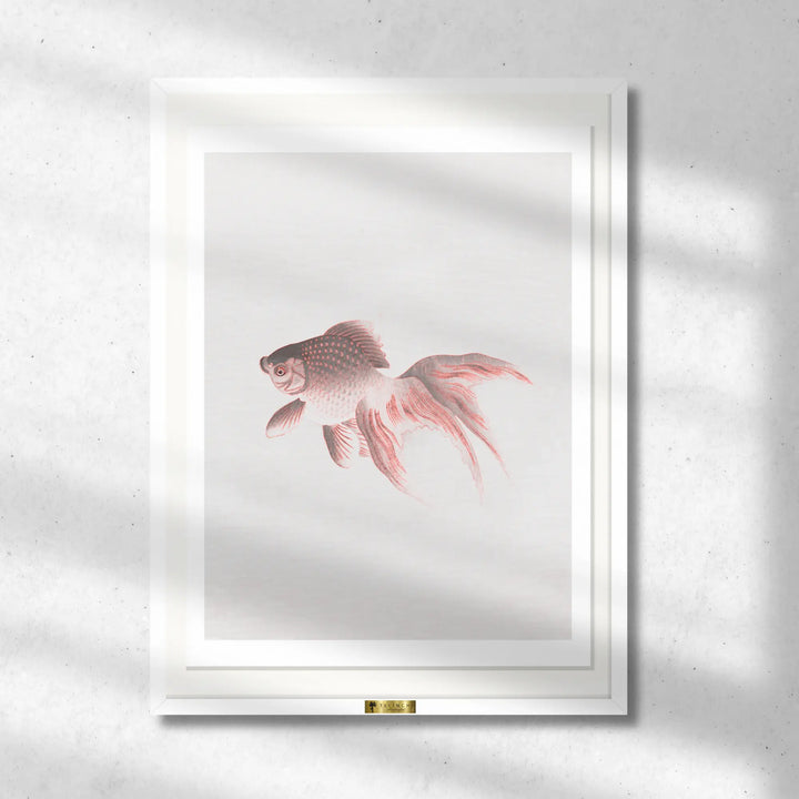 Solo Swimmer
