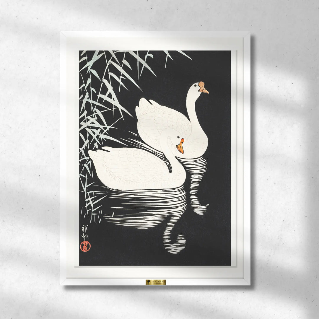 Swan Serenity