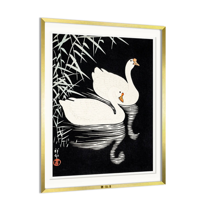 Swan Serenity