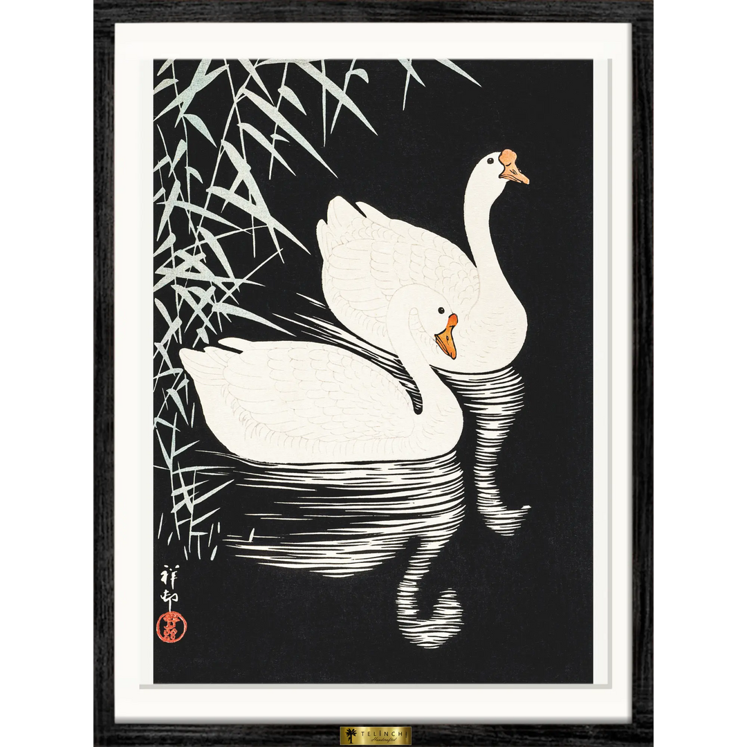 Swan Serenity