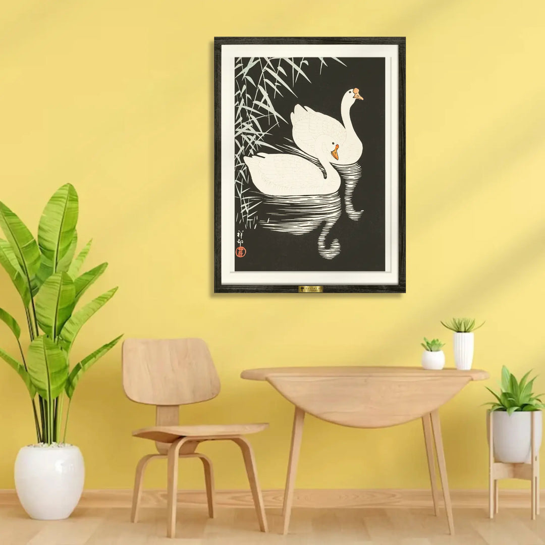 Swan Serenity