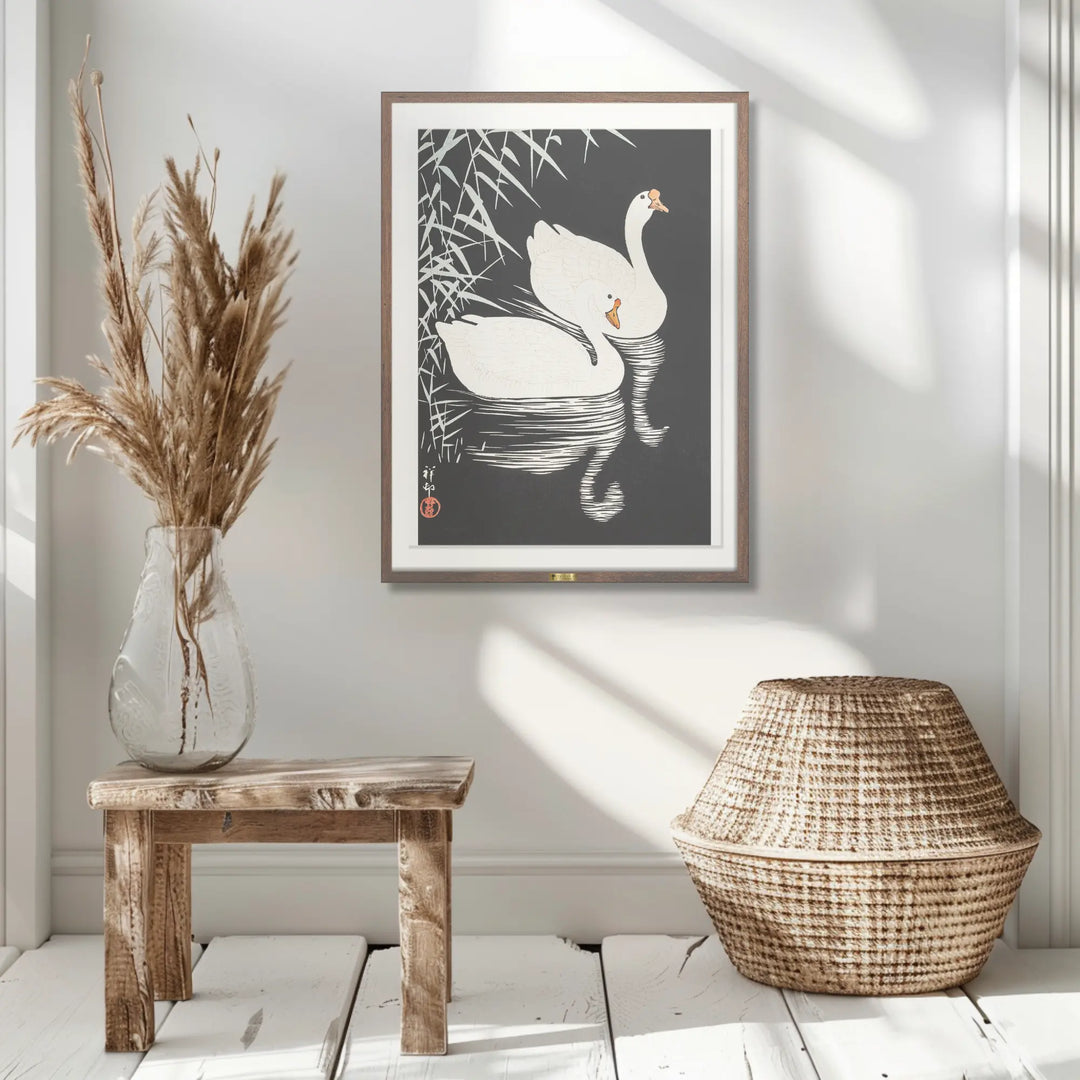 Swan Serenity
