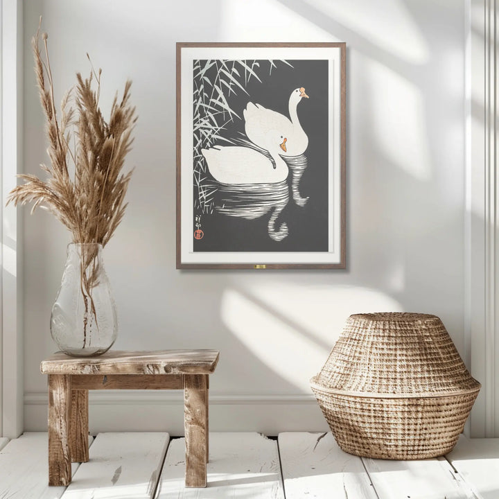 Swan Serenity