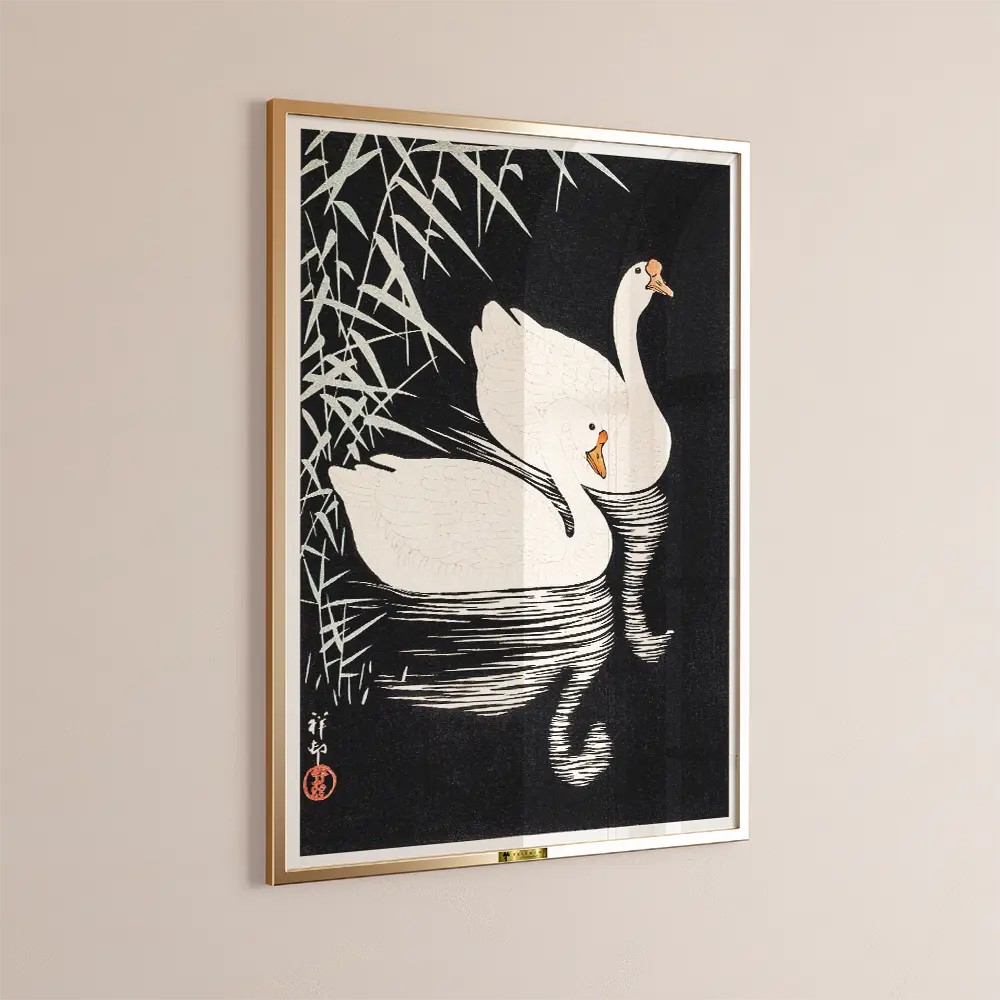 Swan Serenity