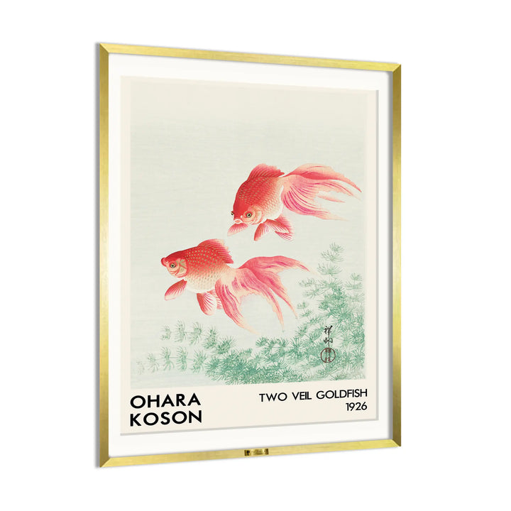 Two Veil Goldfish by Ohara Koson