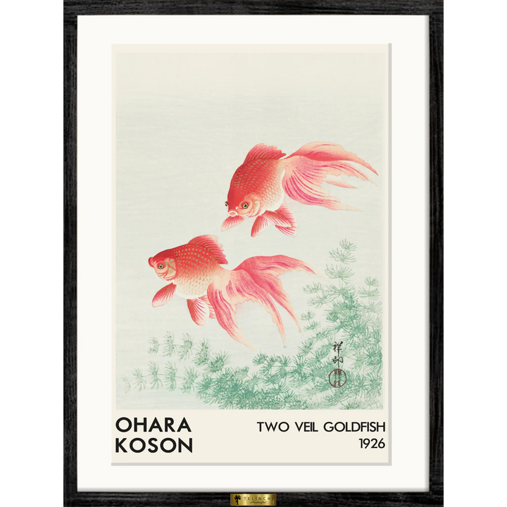 Two Veil Goldfish by Ohara Koson