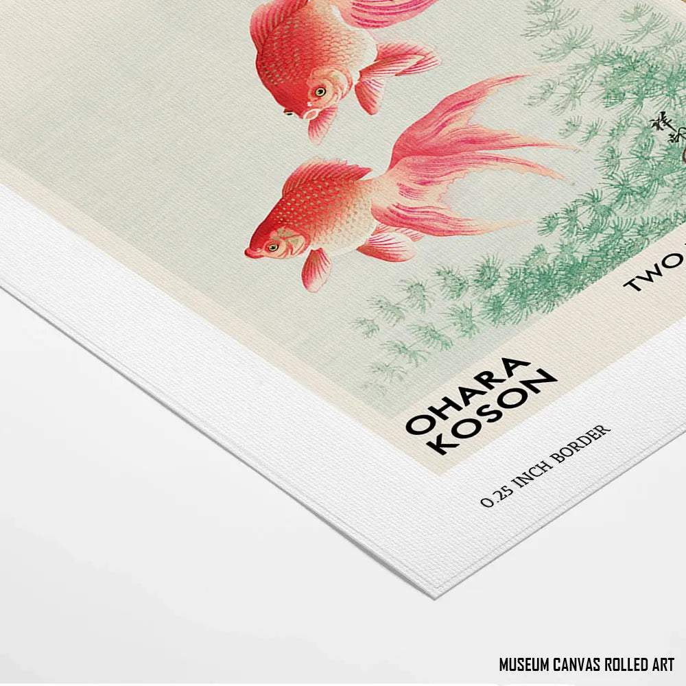 Two Veil Goldfish by Ohara Koson