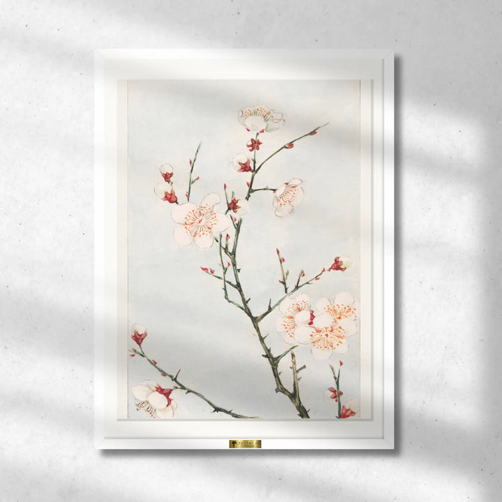 Delicate Blossoms