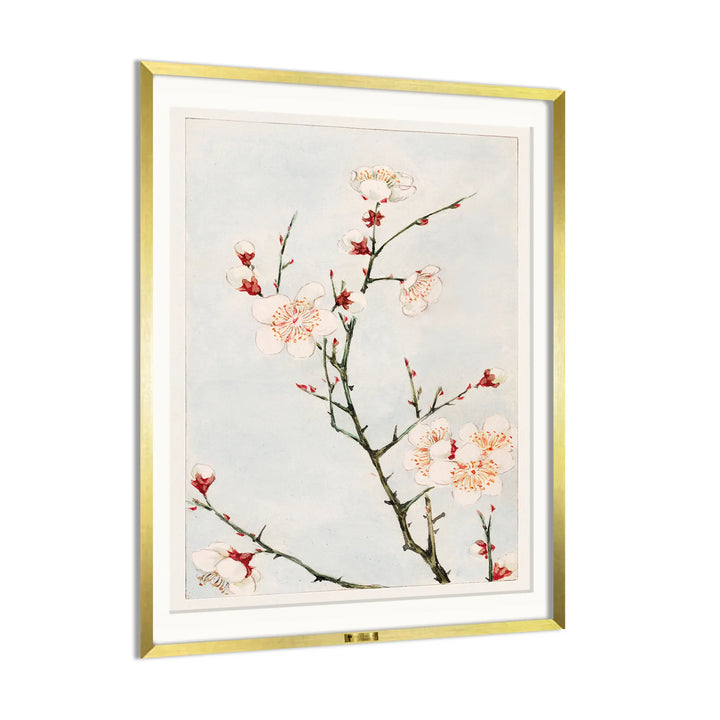 Delicate Blossoms