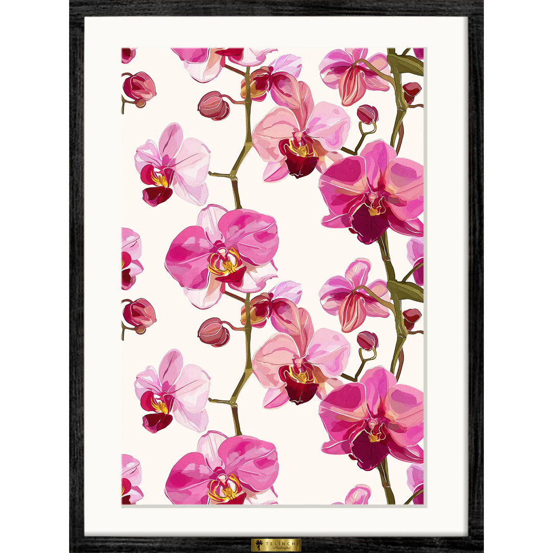 Orchid Romance