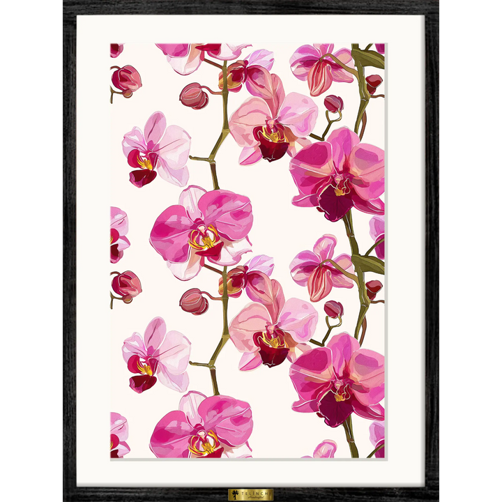 Orchid Romance