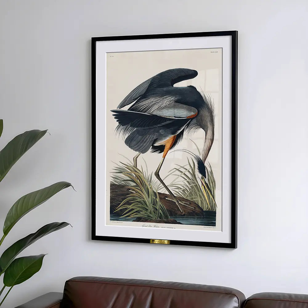 Great Blue Heron in Focus