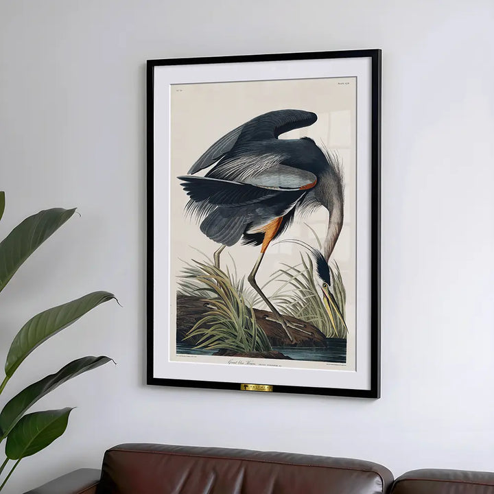 Great Blue Heron in Focus