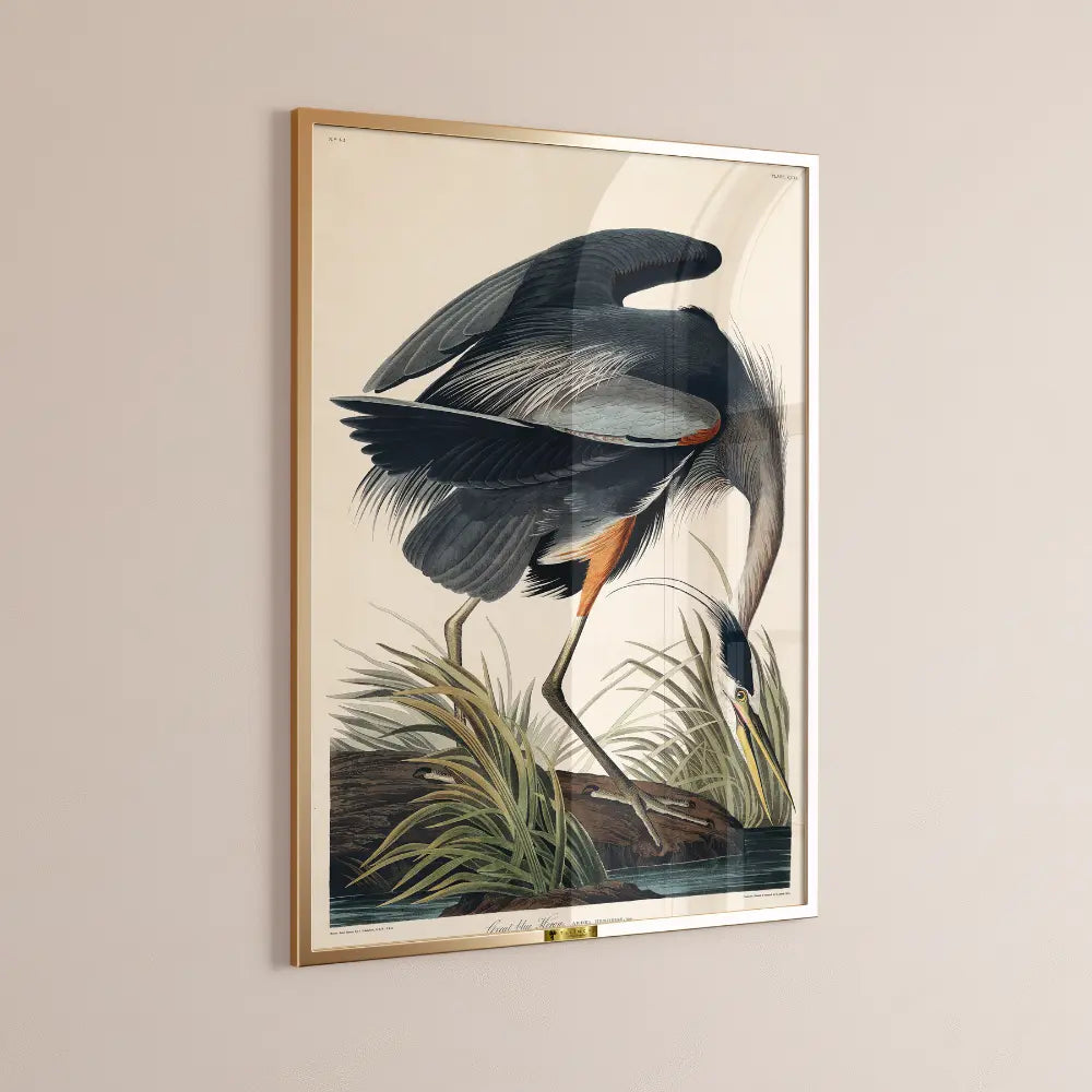 Great Blue Heron in Focus