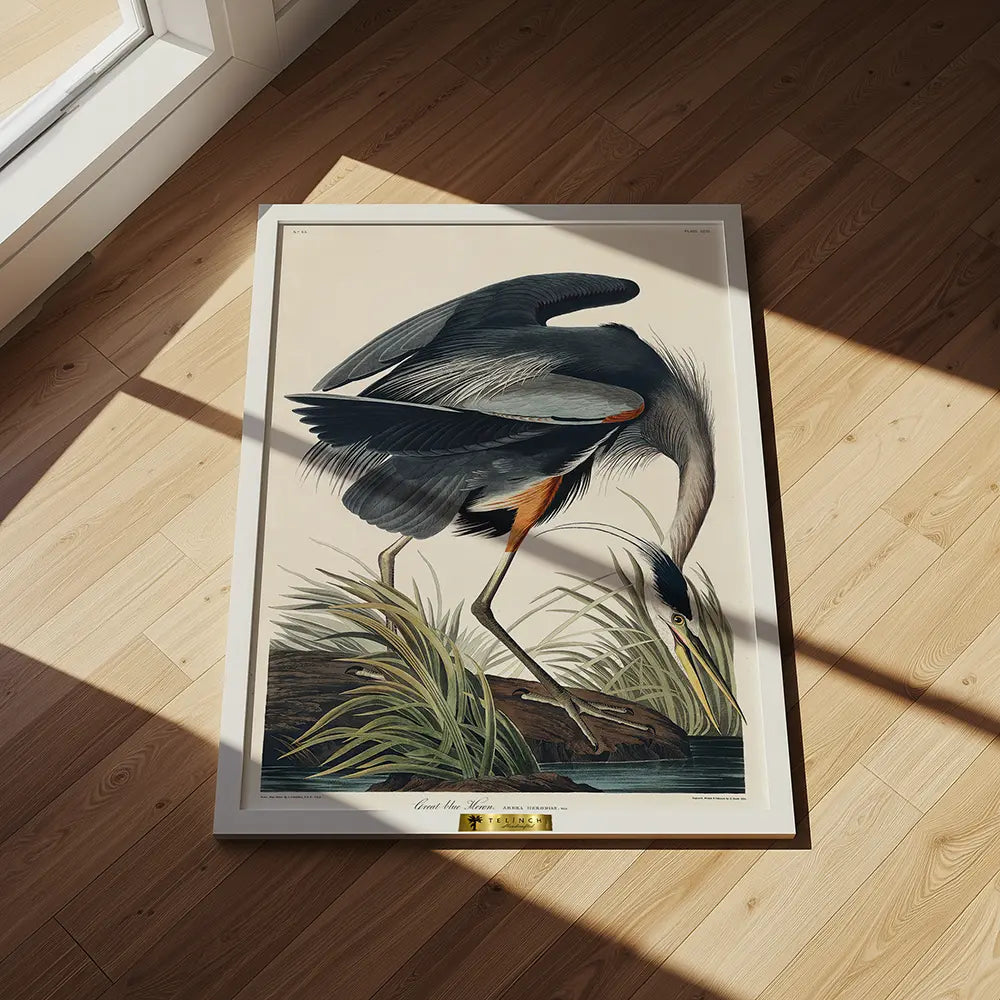 Great Blue Heron in Focus