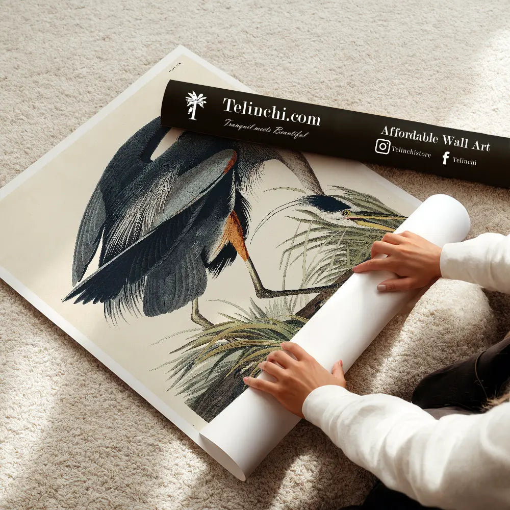 Great Blue Heron in Focus