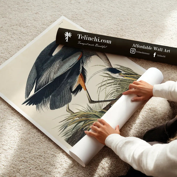 Great Blue Heron in Focus