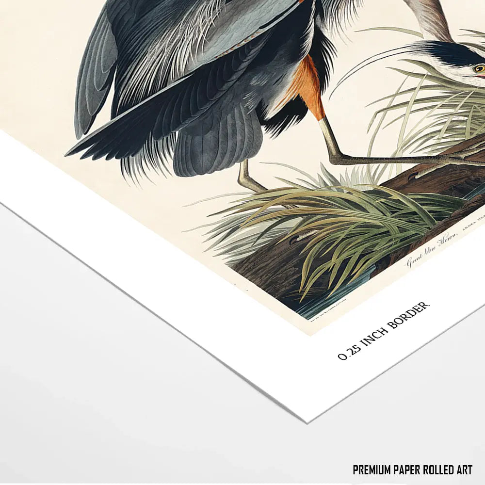 Great Blue Heron in Focus