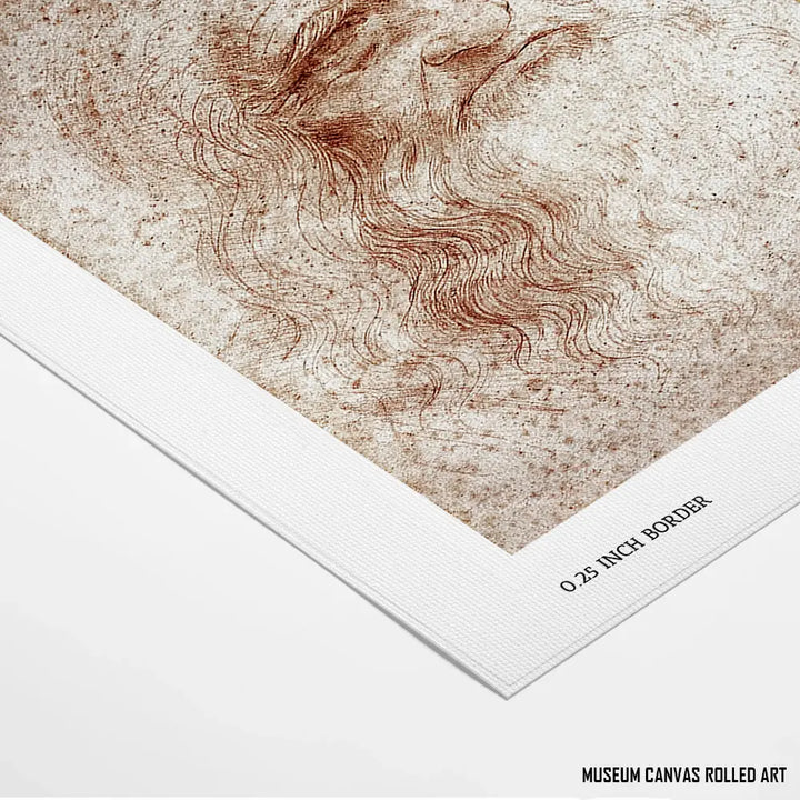 Self-portrait by Leonardo da Vinci