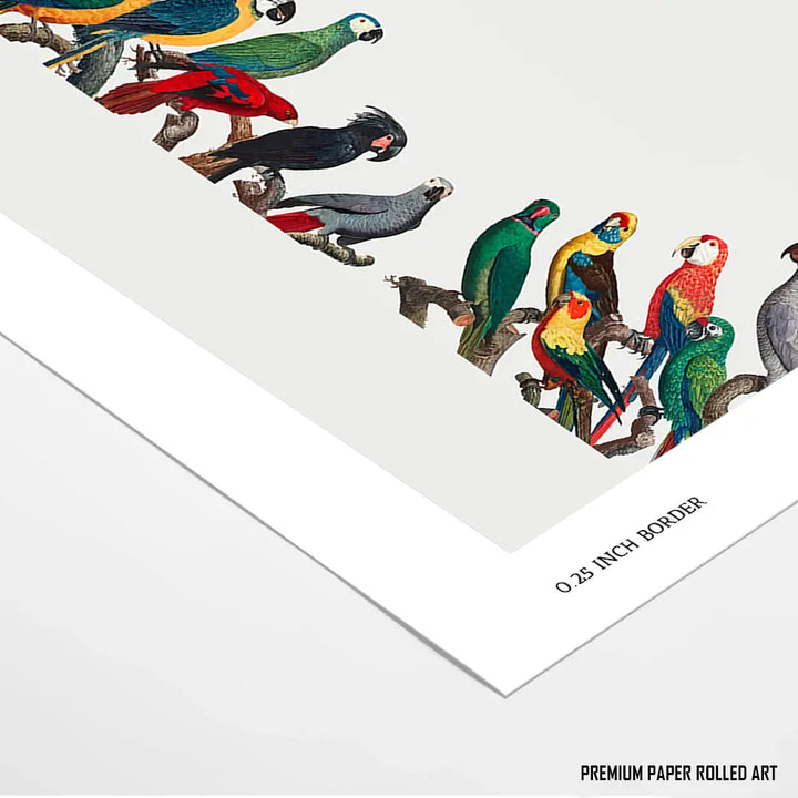 Theophrastus's Treasures