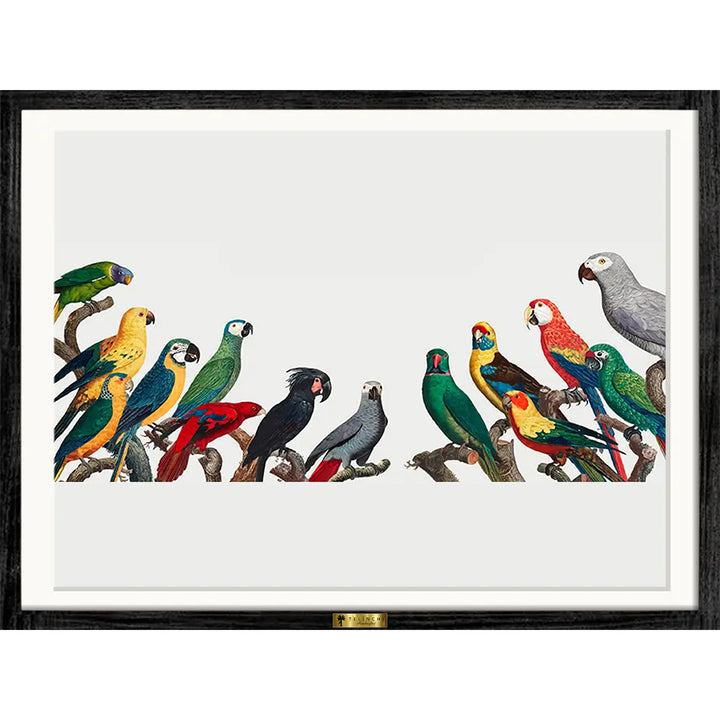 Theophrastus's Treasures