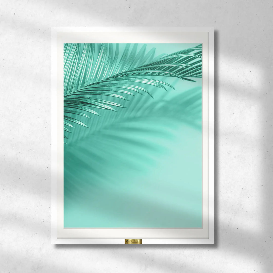 Teal Shadows
