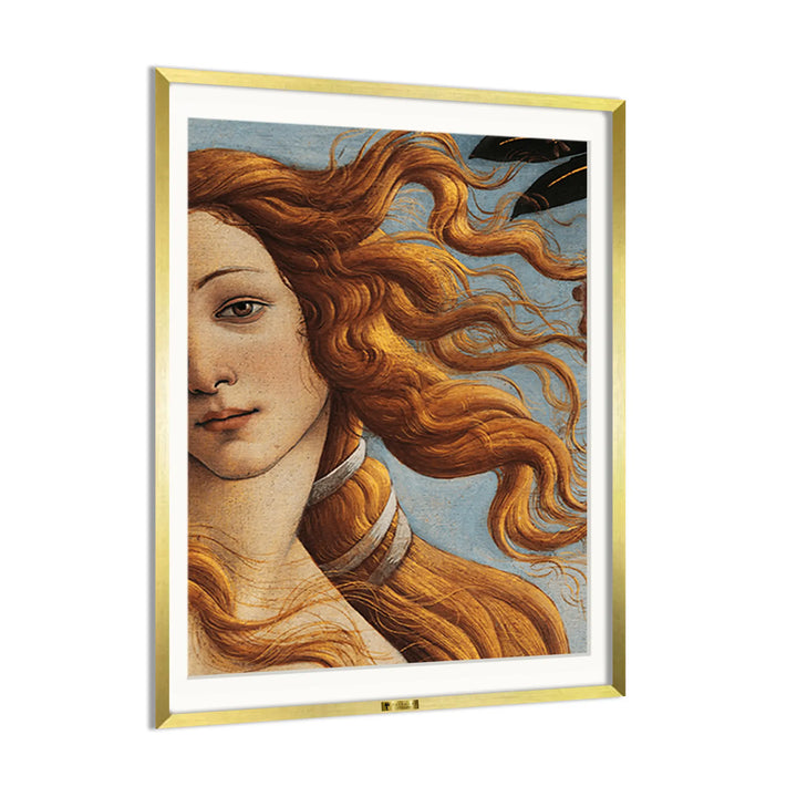 Venus Locks