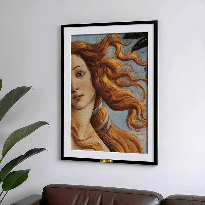 Venus Locks