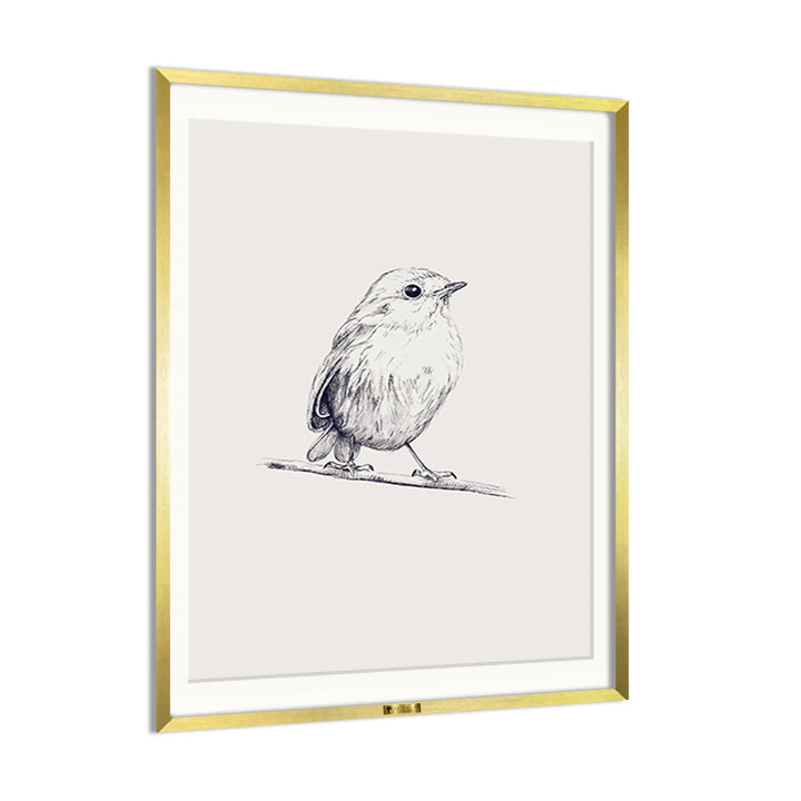 Sketch of a Bird